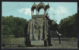 AK Indien, State Elephant, Staats-Elefant  - Elefanten