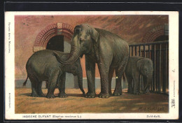 AK Indischer Elefant Mit Jungen In Einem Innengehege  - Elefanti