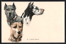 Künstler-AK I Grandi Danesi  - Dogs