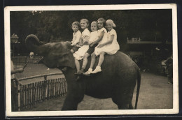 Foto-AK Fröhliche Kindergruppe Auf Einem Elefantenrücken  - Elefanti