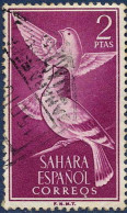 Sahara Esp. Poste Obl Yv:172 Mi:218 Columba Livia Ed:185 (TB Cachet Rond) - Sahara Spagnolo