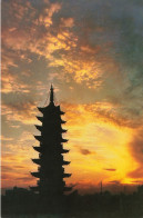 CHINE - Shanghai - The Pagoda In Sungchiang - Carte Postale - Chine