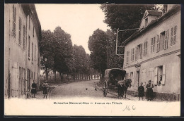 CPA Moisselles, Avenue Des Tilleuls  - Moisselles