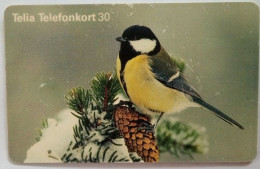 Sweden 30Mk. Chip Card - Bird 24 Great Tit - Parus Major Bird - Suecia