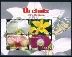 Bloc Sheet  Fleurs Orchidées Flowers Orchids  Neuf  MNH **   Montserrat 2208 - Orchideen