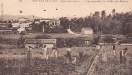 MOUANS-SARTOUX (Alpes-Maritimes) - Vue Générale, La Taille Du Jasmin - Voyagé 1920 (2 Scans) - Other & Unclassified