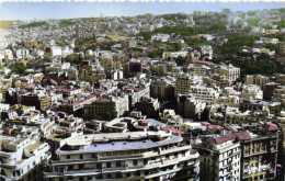 ALGER  Vue Generale Prise Du Télemly Au Premier Plan "l'Algéria" Colorisée RV - Algiers