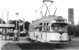 TRAMWAY - ALLEMAGNE - DUSSELDORF - Treinen