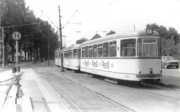 TRAMWAY - ALLEMAGNE - DUSSELDORF - Eisenbahnen