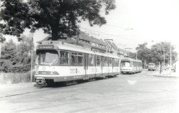 TRAMWAY - ALLEMAGNE - DUSSELDORF - Eisenbahnen