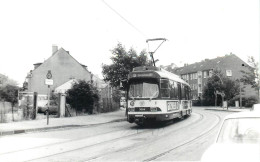 TRAMWAY - ALLEMAGNE - DUSSELDORF - Trains