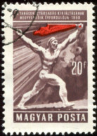 Pays : 226,6 (Hongrie : République (3))  Yvert Et Tellier N° : 1273 (o) - Used Stamps