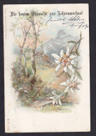 Die Besten Wunsche Zum Jahreswerhset / Year 1900 / Long Line Postcard Circulated, 2 Scans - Otros & Sin Clasificación