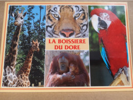 44 - Zoo De La BOISSIERE DU DORE -Girafes - Tigre -Ara - Chimpanzé- - Girafes