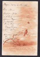 Illustration Of Birds - Theo Stroefer's - Serie III No. 5184 / Year 1898 / Long Line Postcard Circulated, 2 Scans - Voor 1900