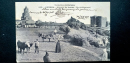 06 , Cannes ,abbaye De Lerins , Ile Saint Honorat ,les Moines Dans Les Champs En 1905 - Cannes