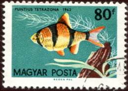 Pays : 226,6 (Hongrie : République (3))  Yvert Et Tellier N° : 1499 (o) - Used Stamps