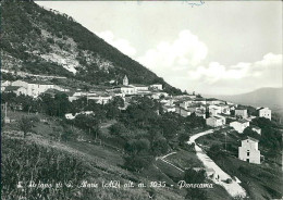 SANTO STEFANO DI SANTE MARIE (  L'AQUILA ) PANORAMA - EDIZIONE IRAZZA - SPEDITA - 1960s (20696) - L'Aquila