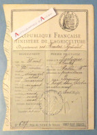 ● Permis De Chasse 1909 - Lartigue - Monléon - Bagnères - Hautes Pyrénées 65 - Historische Documenten