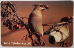 Sweden 60Mk. Chip Card - Bird 3 Waxwing - Suecia