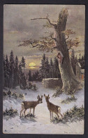 Winter Landscape / Long Line Postcard Not Circulated, 2 Scans - Malerei & Gemälde