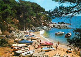 Espagne - Espana - Cataluna - Costa Brava - Cala Sacova - Playa - Plage - CPM - Voir Scans Recto-Verso - Gerona