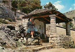 Grèce - Village Grecque - En Filant à La Fontaine - Anes - Folklore - Carte Neuve - CPM - Voir Scans Recto-Verso - Grèce