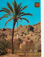 Maroc - Tafraout - Vue Générale - Carte Neuve - CPM - Voir Scans Recto-Verso - Sonstige & Ohne Zuordnung