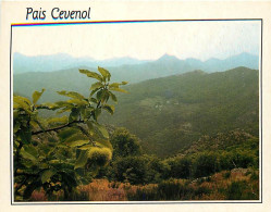 30 - Gard - Les Cévennes - Pais Cevenol - Carte Neuve - CPM - Voir Scans Recto-Verso - Other & Unclassified