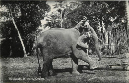 Animaux - Eléphants - Sri Lanka - Ceylon - Elephants At Work - Animée - CPSM Format CPA - Voir Scans Recto-Verso - Olifanten