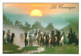 Animaux - Chevaux - Camargue - Chevaux Camarguais - Coucher De Soleil - Voir Scans Recto Verso  - Horses