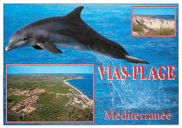 Animaux - Dauphins - CPM - Voir Scans Recto-Verso - Delphine