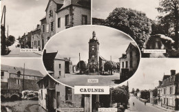 Caulnes  (22 - Côtes D'Armor)  Multivues - Other & Unclassified
