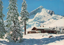 ALLEMAGNE - Kreuzalm Gegen Alpspitze - Colorisé - Carte Postale - Autres & Non Classés