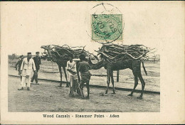 YEMEN - ADEN - WOOD CAMELS - STEAMER POINT - EDIT BENGHIAT SON - 1910s / STAMP (18402) - Jemen