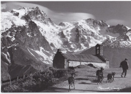 Berger Dans Les Alpes - Landbouwers