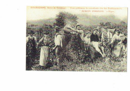 REPRODUCTION - 21 - Côte D'Or DIJON - Scène De Vendange - Vins ADRIEN SARRAZIN Vendangeurs Panier - Sonstige & Ohne Zuordnung