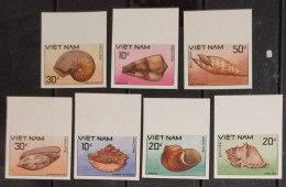 Vietnam Viet Nam MNH Imperf Stamps 1988 : Sea Shells /shell / Marine Life (Ms558) - Viêt-Nam