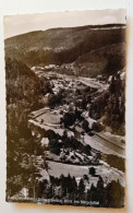 D202780     AK  CPSM  -  Bad Liebenzell  - Schwarzwald, Blick Ins Nagoldtal    Ca 1950's - Calw