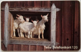 Sweden 120Mk. Chip Card - White Goats - Suecia