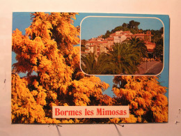 Bormes-les-Mimosas - Bormes-les-Mimosas