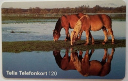 Sweden 120Mk. Chip Card - Horses - Svezia