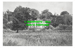 R513546 Unknown Houses. Postcard - Monde