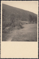 Italia 1940, Natura Montana In Luogo Da Identificare, Fotografia Vintage - Lieux