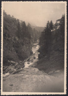 Valle D'Aosta 1940 - Dondena - Pineta - Gola - Fotografia - Vintage Photo - Lugares