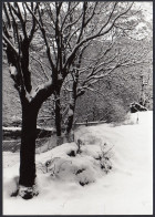 Val D'Aosta 1977 - Panorama Innevato - Fotografia Epoca - Vintage Photo - Lugares