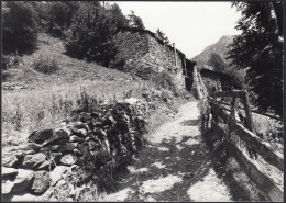 Val D'Aosta 1977 - Sentiero Caratteristico E Baita - Foto - Vintage Photo - Orte