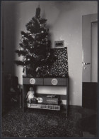 Legnano 1977 - Albero Di Natale Decorato E Giochi In Scatola - Fotografia - Orte