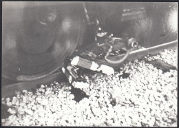Legnano 1977 - Ruote Di Un Treno Sui Binari - Fotografia D'epoca - Photo - Lieux