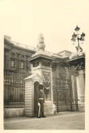 Places & Anonymous Persons Souvenir Photo Social History Format Ca. 6 X 9 Cm Buckingham Palace Guard - Anonieme Personen